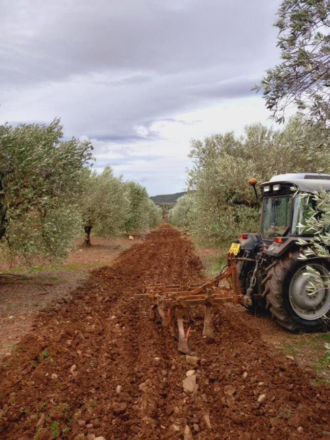 Escale Au Salagou Le Bosc  Εξωτερικό φωτογραφία